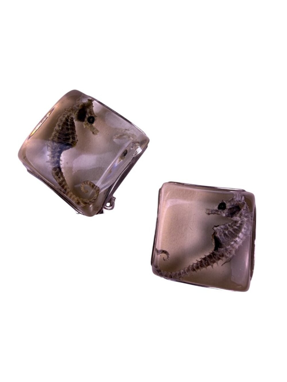 Vintage 1960 Silver Tone Women Seahorse Lucite Clip-On Earrings Unique Design